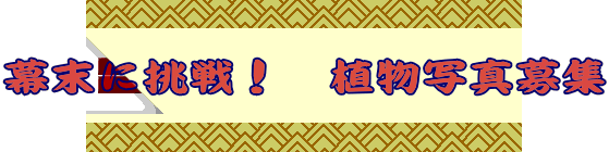 ɒI@Aʐ^W