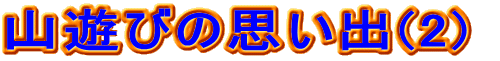 RVт̎vo(2) 